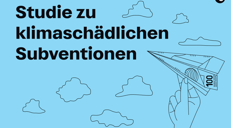 Studie Subventionen