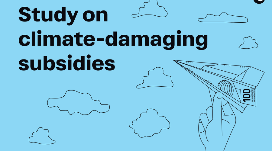 Subsidies study